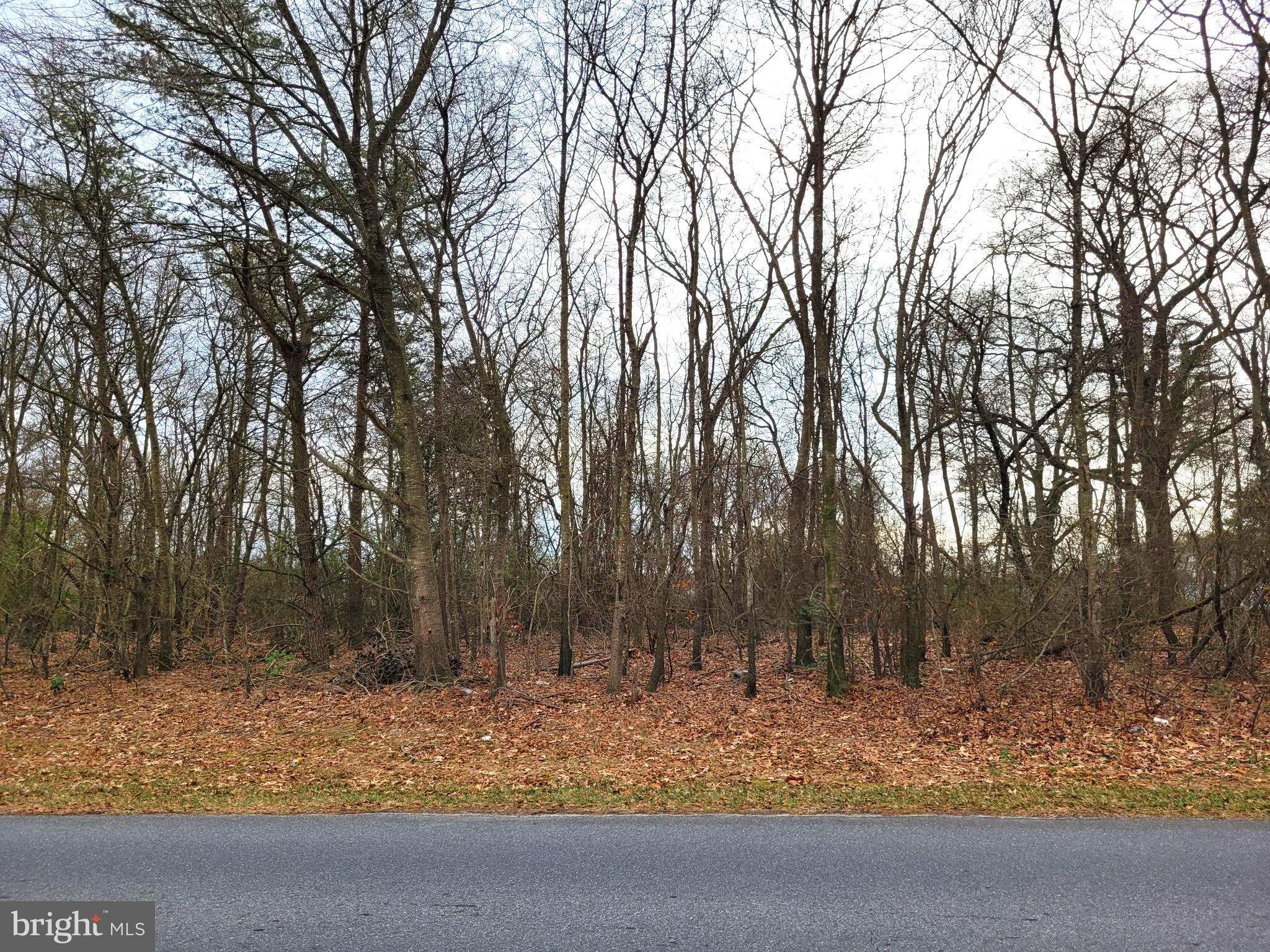 0 Easter Lane Seaford, DE 19973 - Photo 3 of 3 Road view3 of the lot