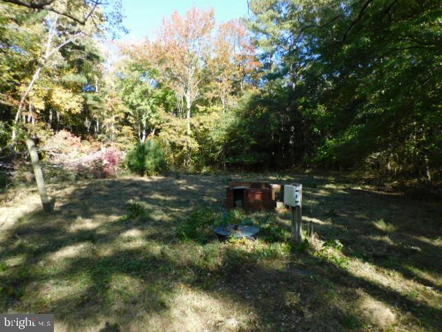10925 Mahlon Price Road Deal Island, MD 21821 - Photo 11 of 15 Back Yard
