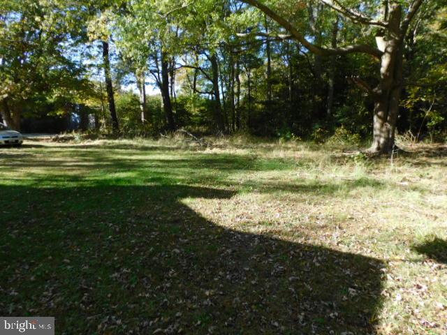 10925 Mahlon Price Road Deal Island, MD 21821 - Photo 13 of 15 Left Side Yard
