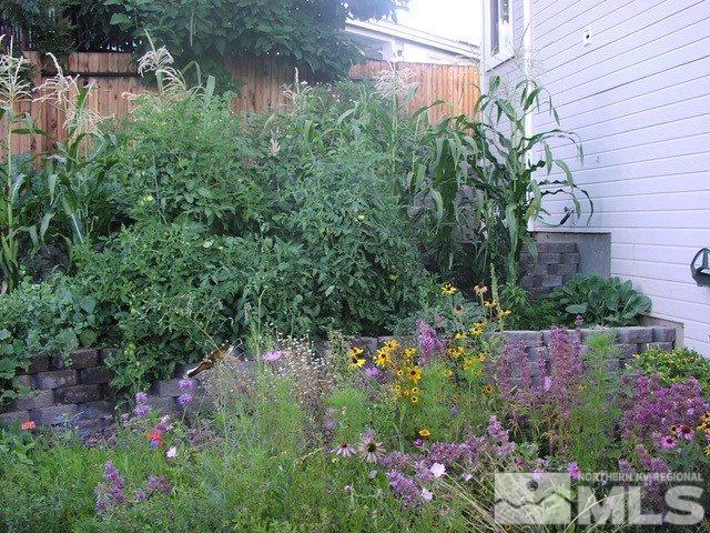 2259 Ridgeview Drive Reno, NV 89519 - Photo 33 of 39 a view of a garden with flowers and flowers