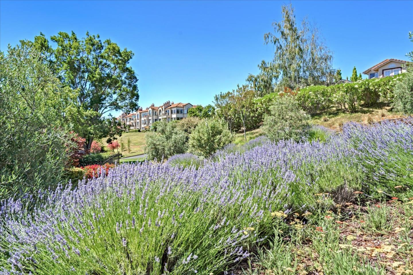 11 Lakeridge Court San Ramon, CA 94582 - Photo 36 of 41 Gallery Image 36