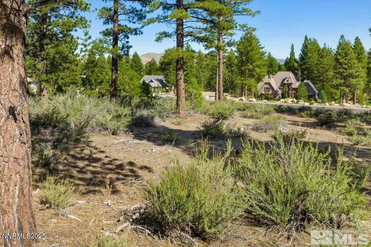 20585 Margaux Road, Unit LOT 415S Reno, NV 89511 - Photo 7 of 8 220015574-6