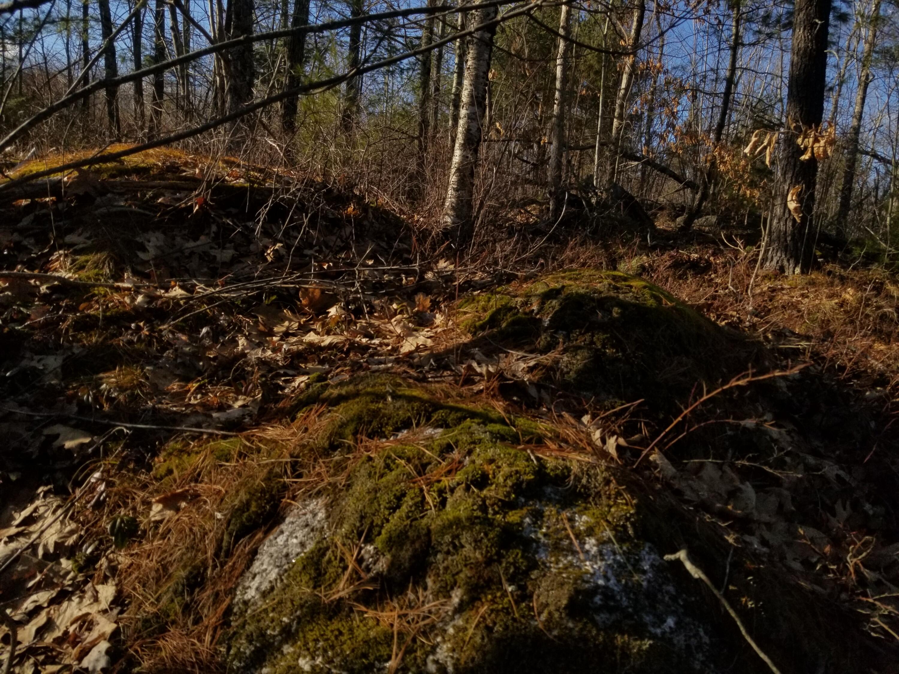 Lot 3 Middle Road Woolwich, ME 04579 - Photo 19 of 22 20230324_165400