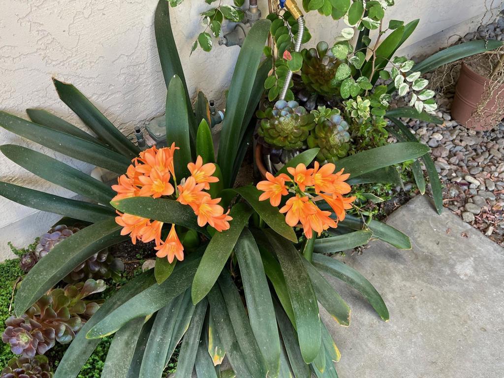 4560 Stratford Circle Oceanside, CA 92056 - Photo 33 of 33