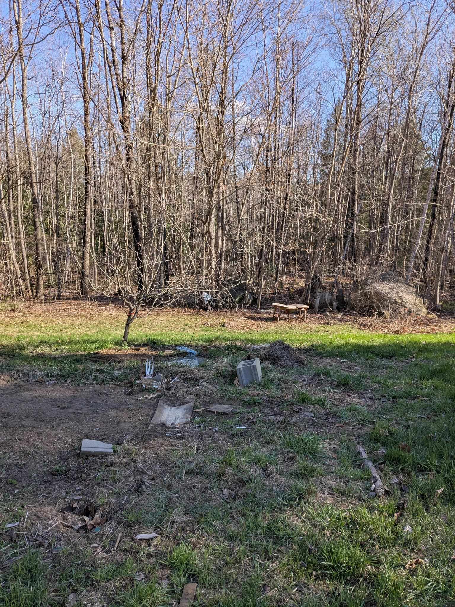 19 Easy Avenue Albany, NH 03818 - Photo 3 of 10