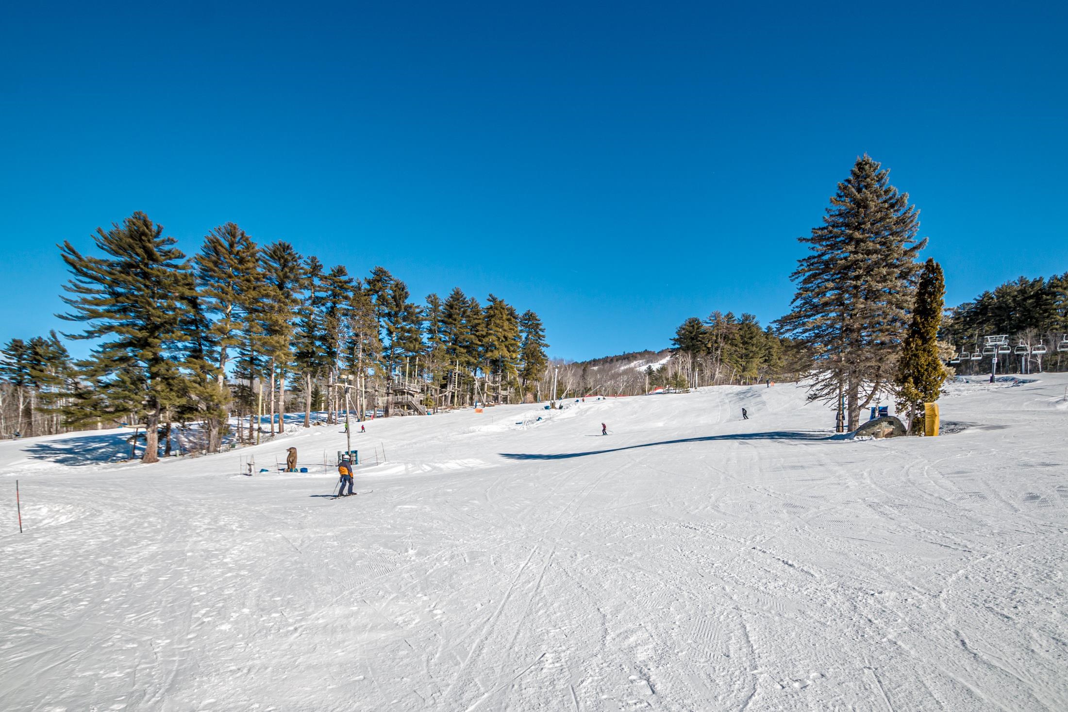 235 Skimobile Road, Unit 2201 Conway, NH 03860 - Photo 27 of 43
