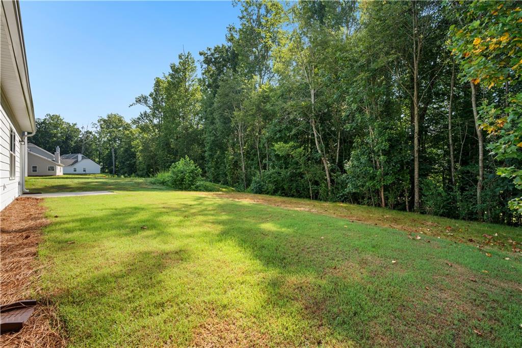 495 Charleston Place Villa Rica, GA 30180 - Photo 37 of 37 Gallery Image 37