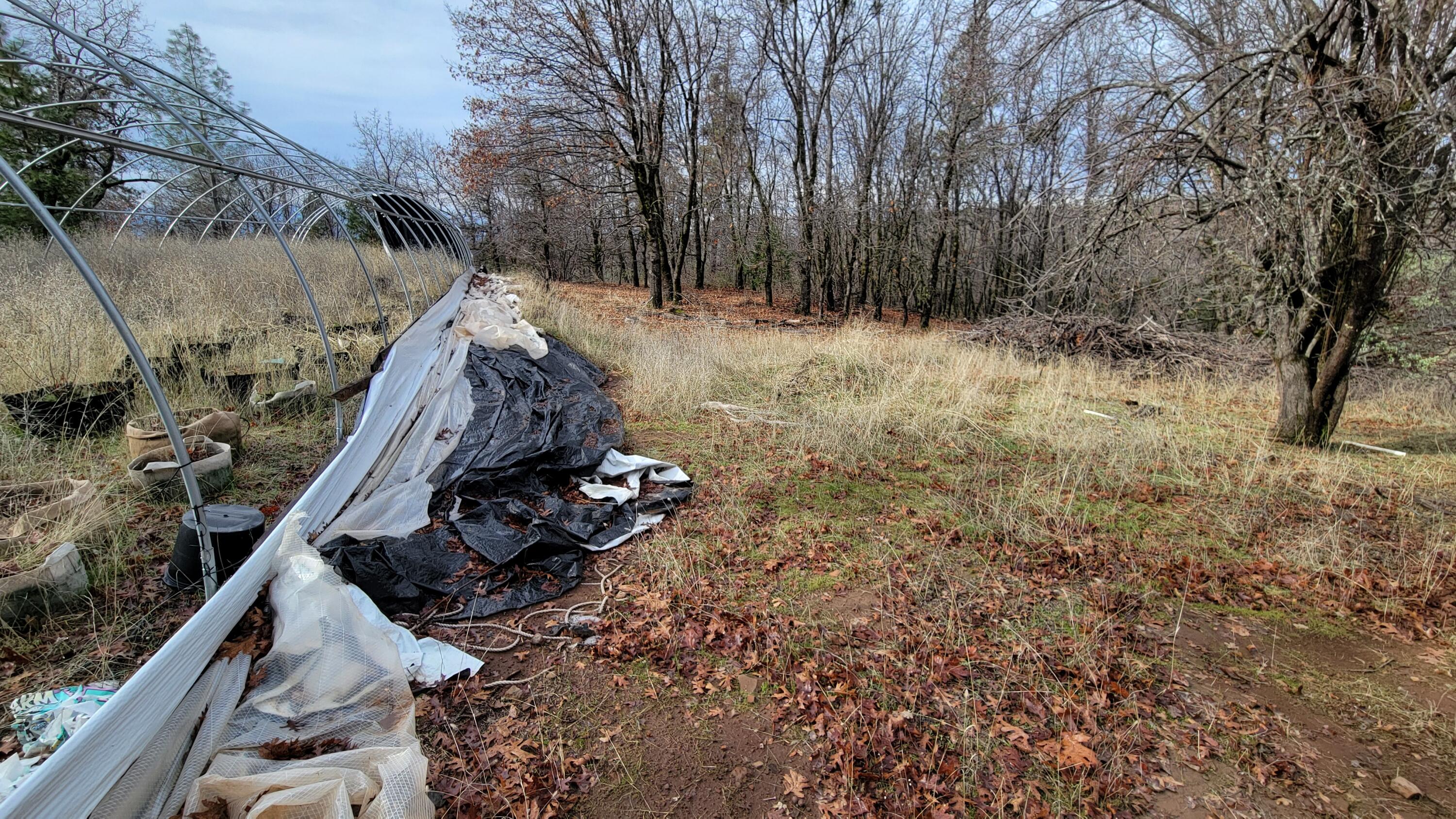 0 Old Stage Road Oak Run, CA 96069 - Photo 15 of 41 20241225_110518