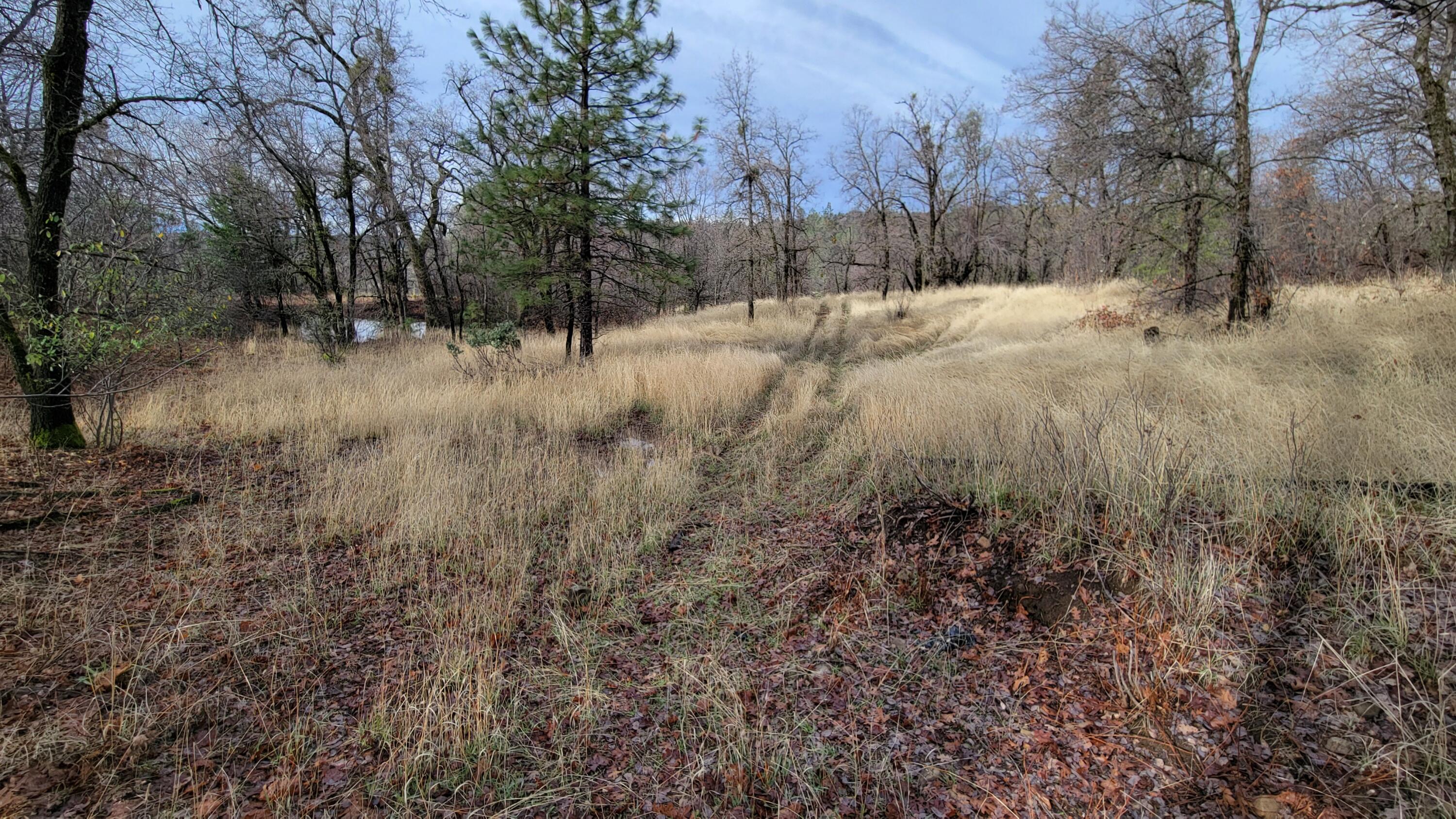 0 Old Stage Road Oak Run, CA 96069 - Photo 16 of 41 20241225_110643