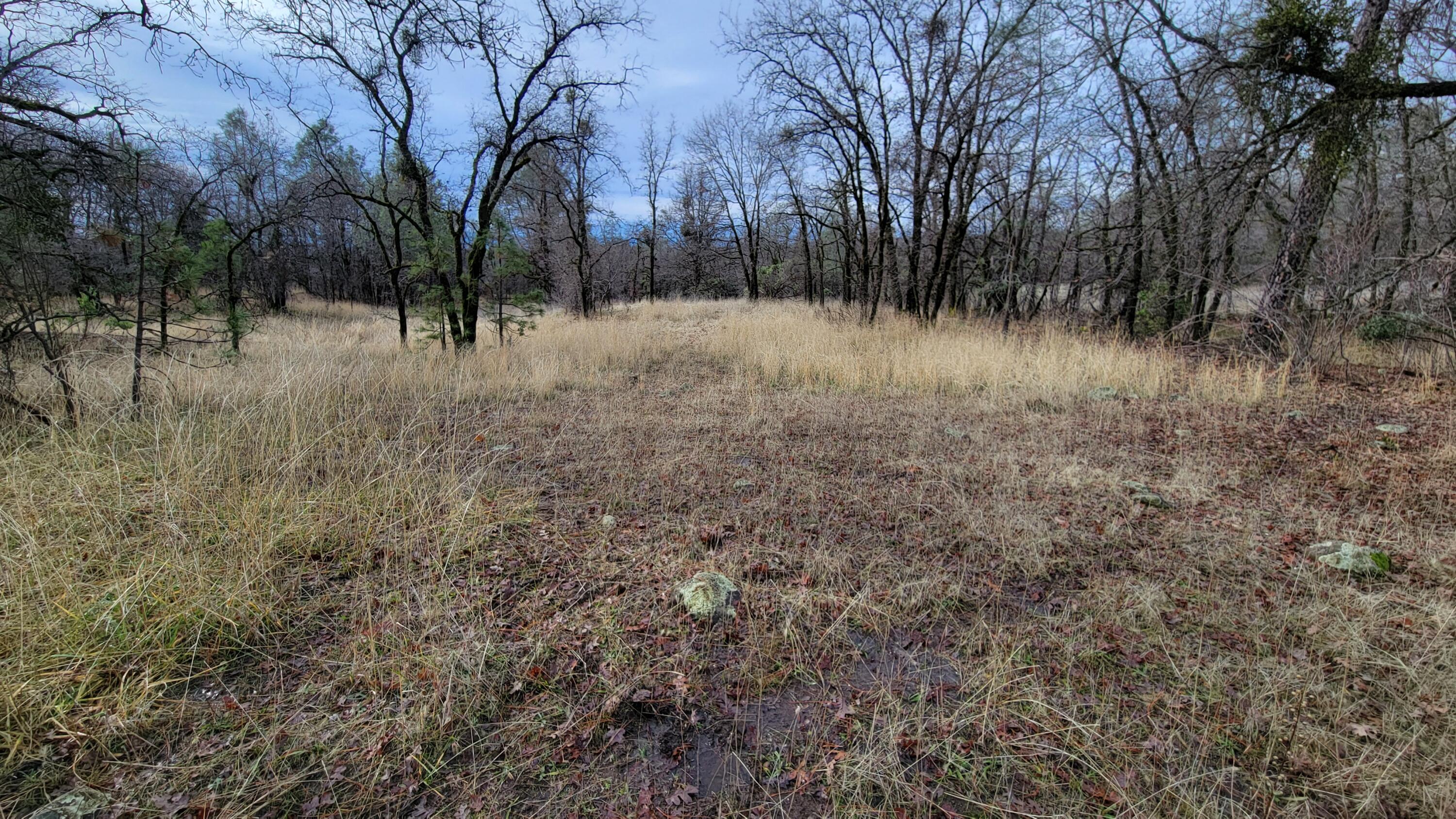 0 Old Stage Road Oak Run, CA 96069 - Photo 19 of 41 20241225_111101