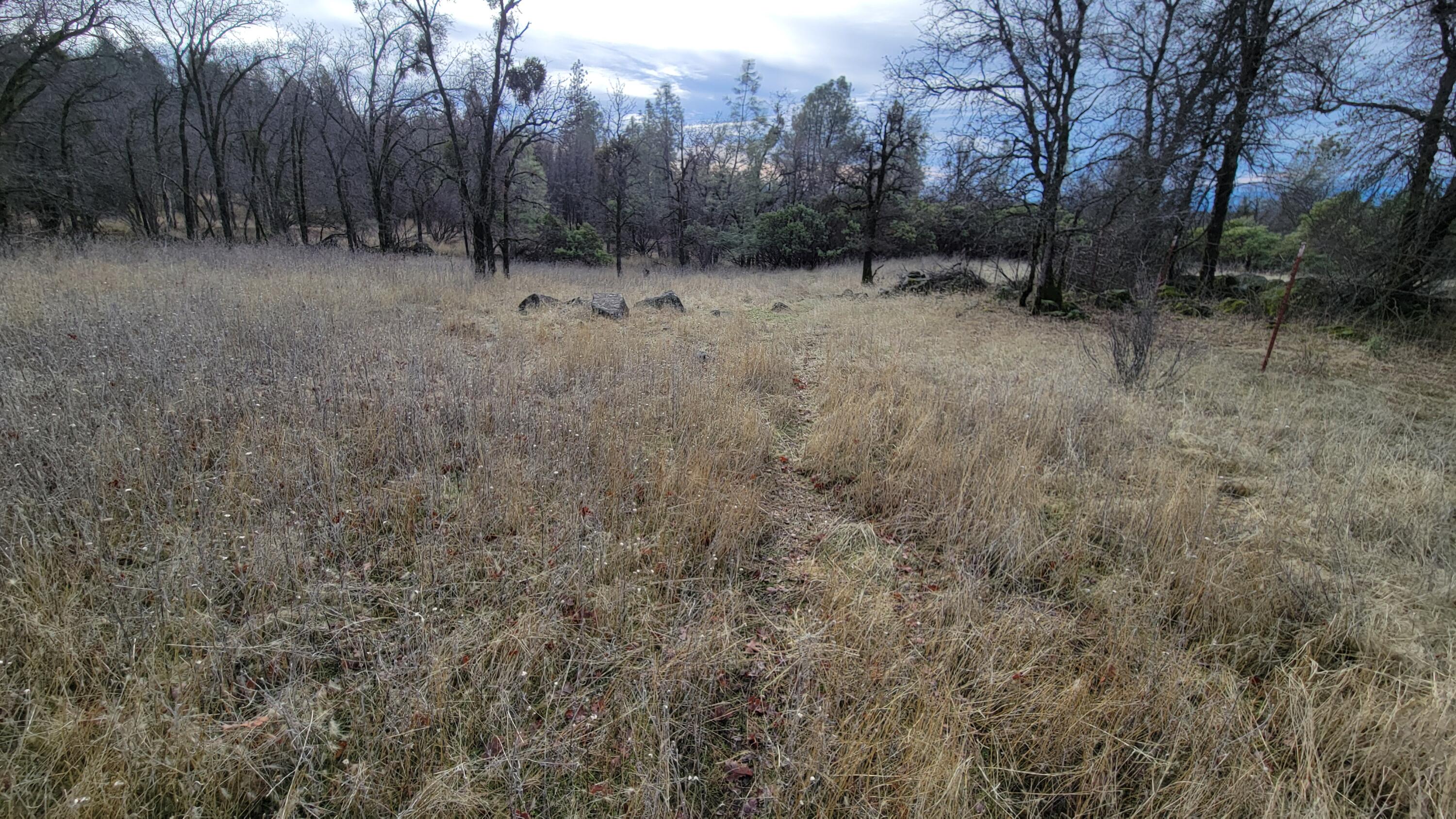 0 Old Stage Road Oak Run, CA 96069 - Photo 20 of 41 20241225_111442