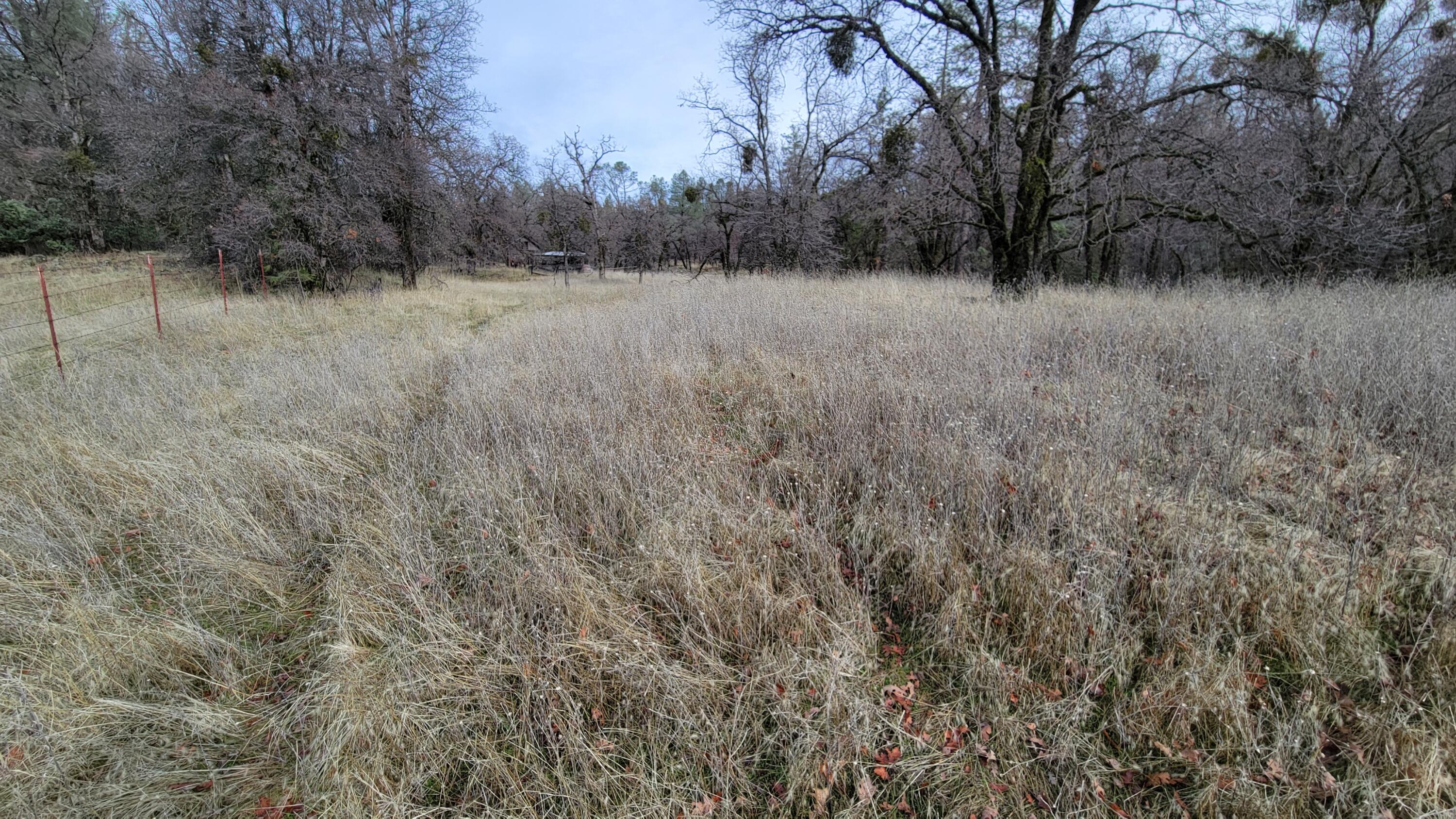 0 Old Stage Road Oak Run, CA 96069 - Photo 21 of 41 20241225_111447