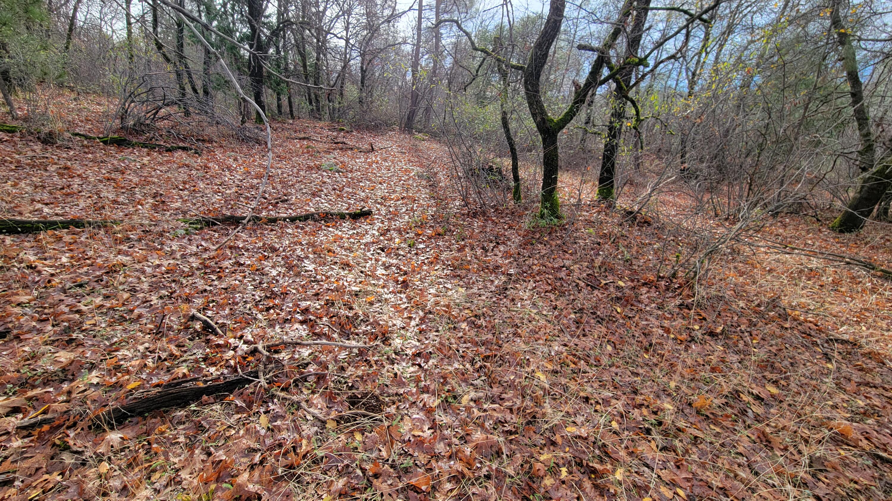0 Old Stage Road Oak Run, CA 96069 - Photo 23 of 41 20241225_112103