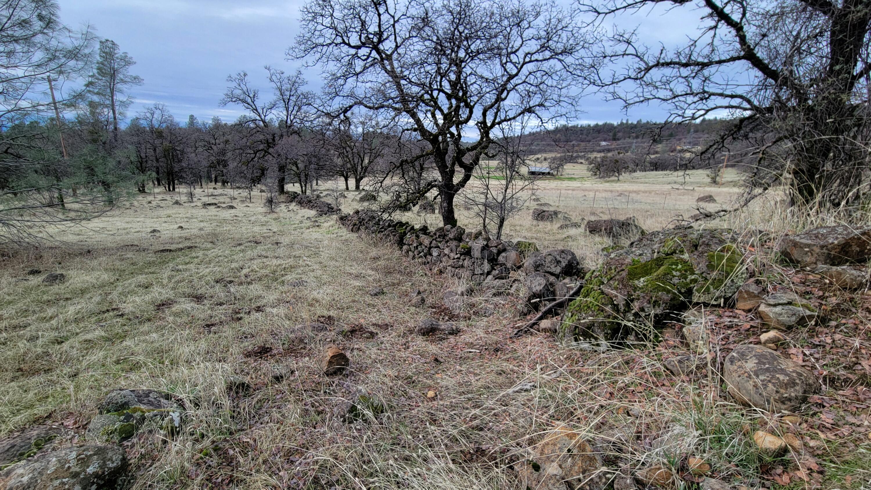 0 Old Stage Road Oak Run, CA 96069 - Photo 29 of 41 20241225_113342