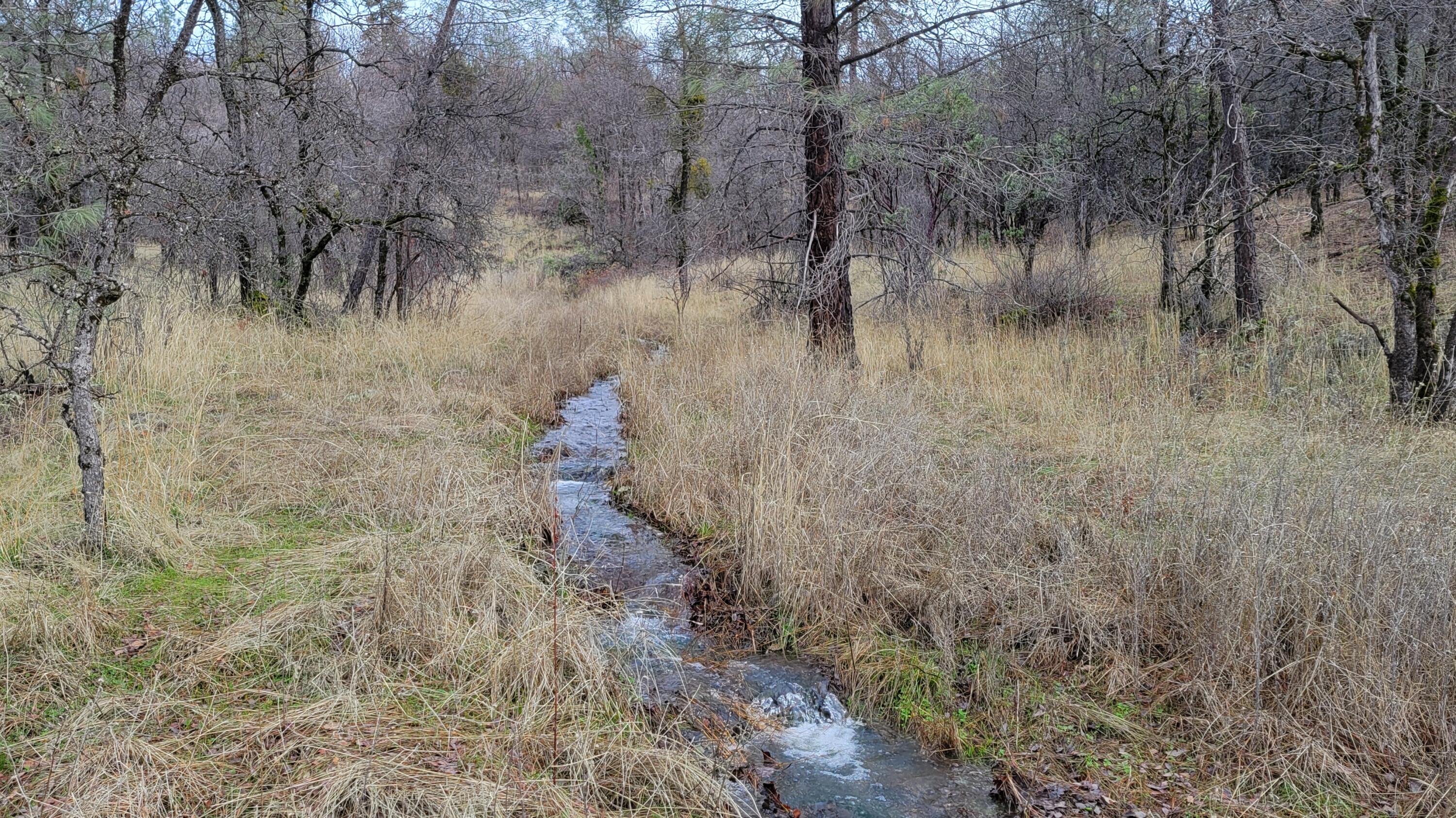 0 Old Stage Road Oak Run, CA 96069 - Photo 31 of 41 20241225_113618