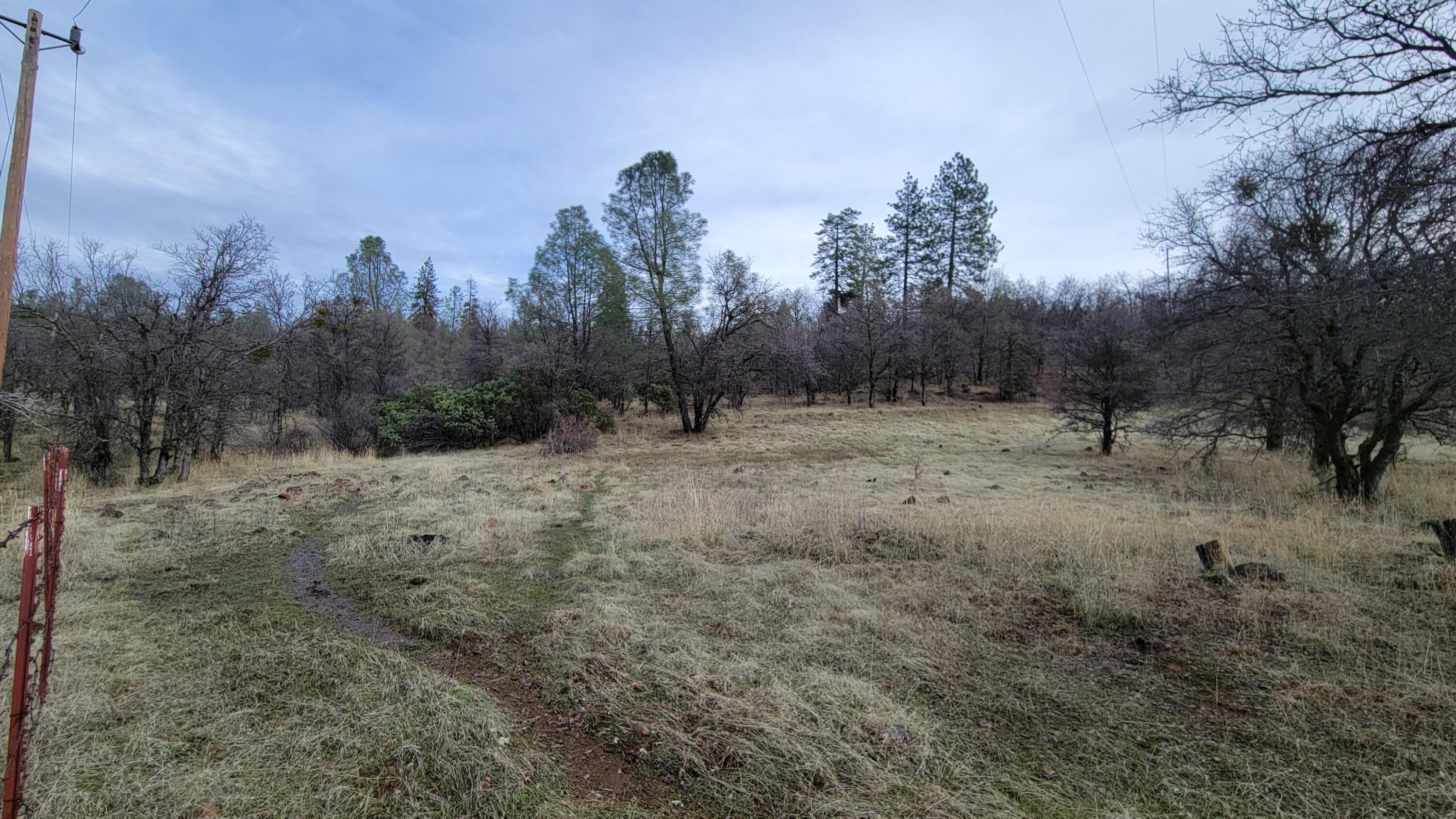 0 Old Stage Road Oak Run, CA 96069 - Photo 33 of 41 20241225_113830