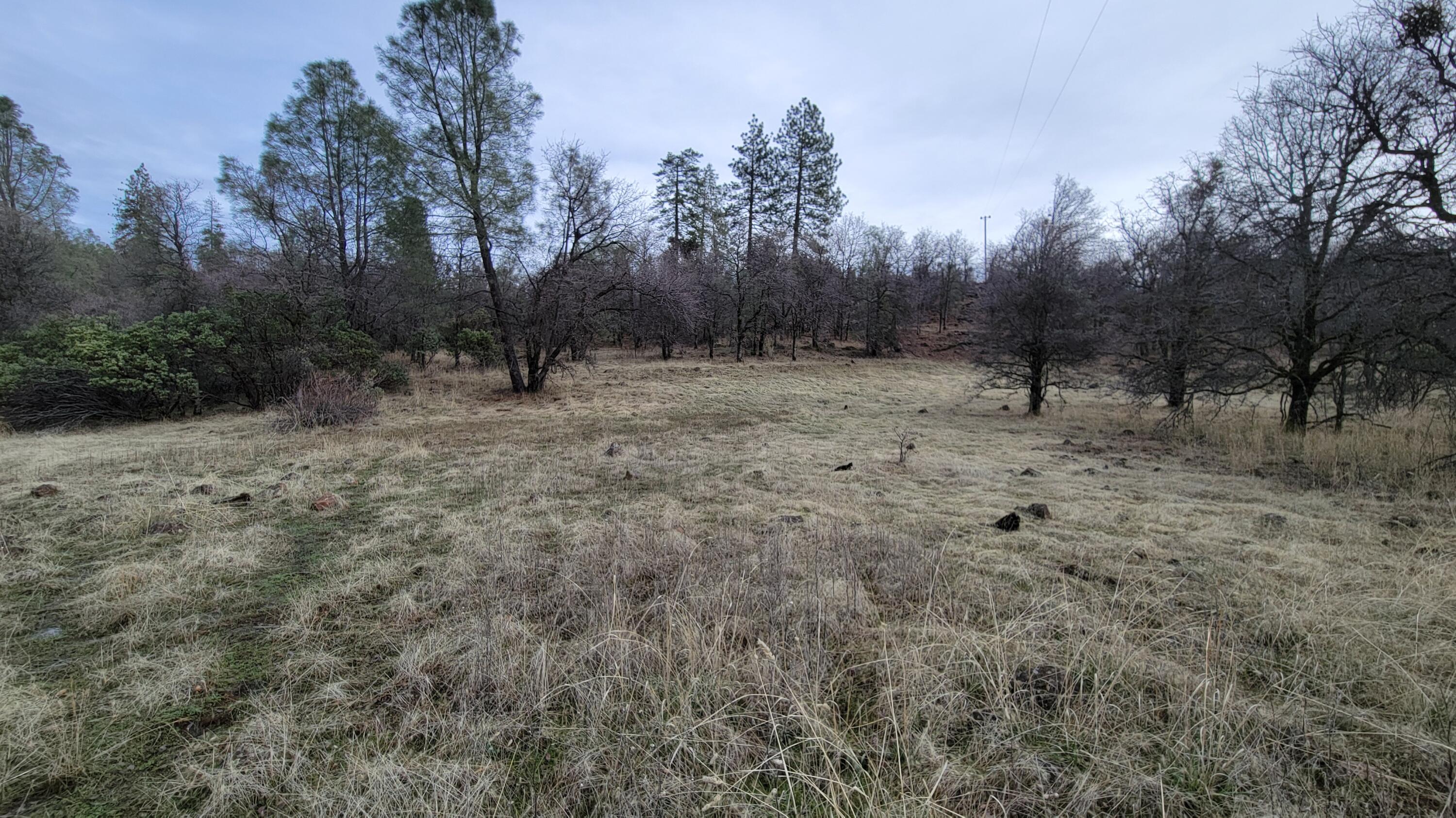 0 Old Stage Road Oak Run, CA 96069 - Photo 34 of 41 20241225_113846