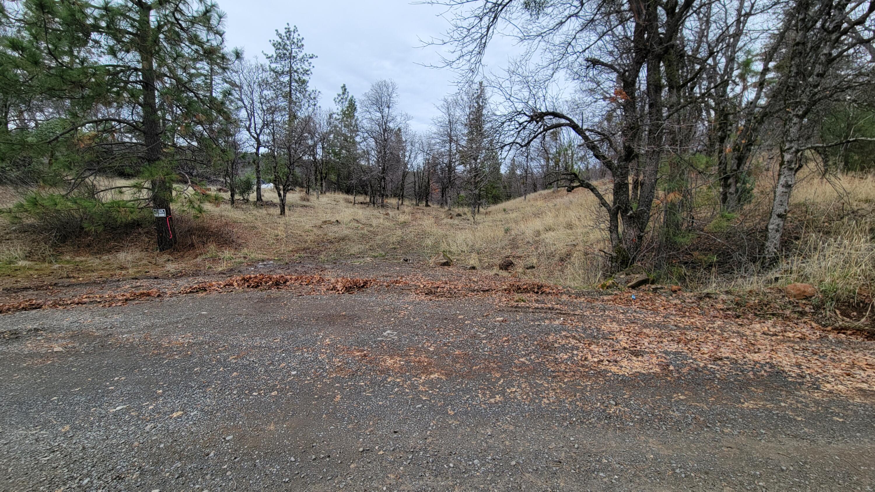 0 Old Stage Road Oak Run, CA 96069 - Photo 39 of 41 20241225_135025