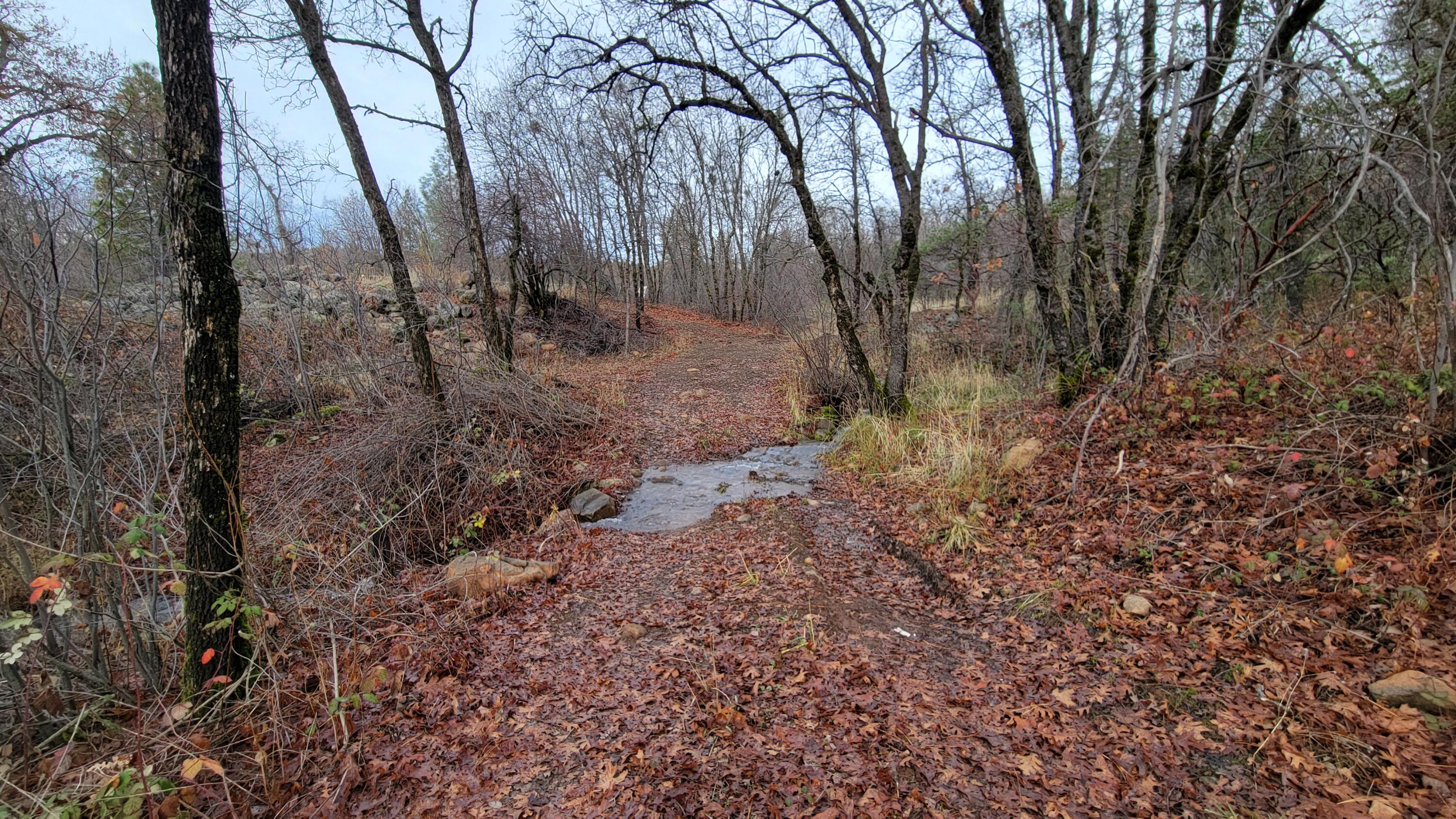 0 Old Stage Road Oak Run, CA 96069 - Photo 7 of 41 20241225_105648