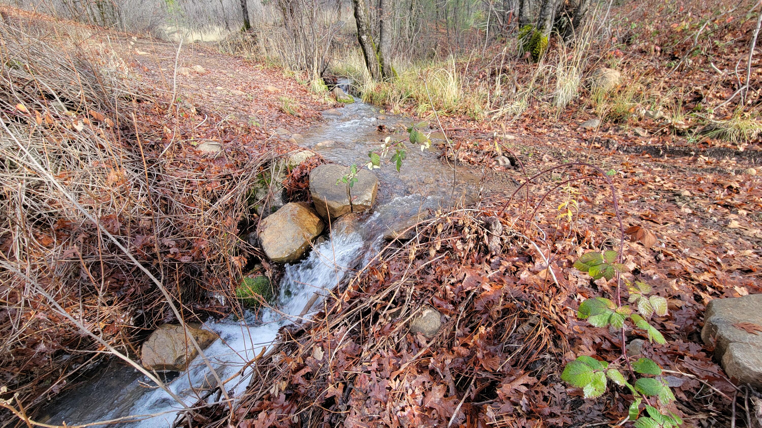 0 Old Stage Road Oak Run, CA 96069 - Photo 8 of 41 20241225_105749