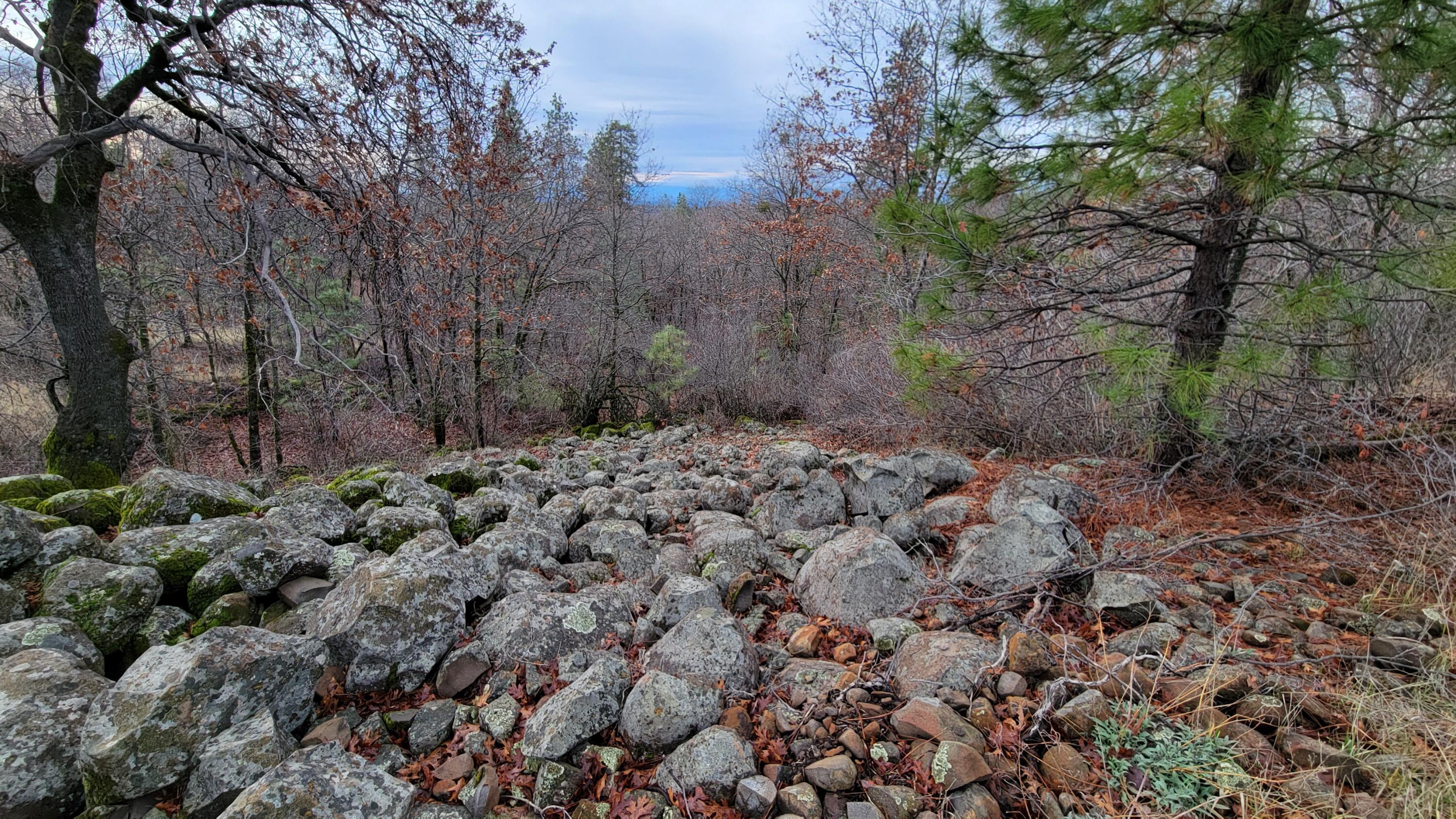 0 Old Stage Road Oak Run, CA 96069 - Photo 9 of 41 20241225_110120