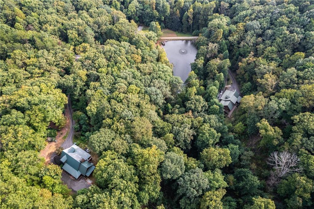 105 Ranch Mountain Court Dahlonega, GA 30533 - Photo 66 of 70 an aerial view of a house with a yard and outdoor seating