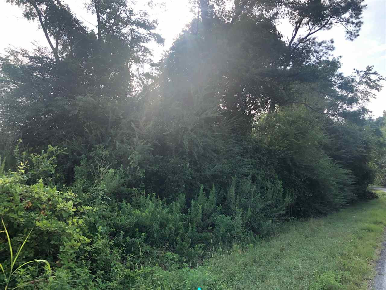 1 Ringgold Road Forest, MS 39074 - Photo 3 of 4 Photo 3