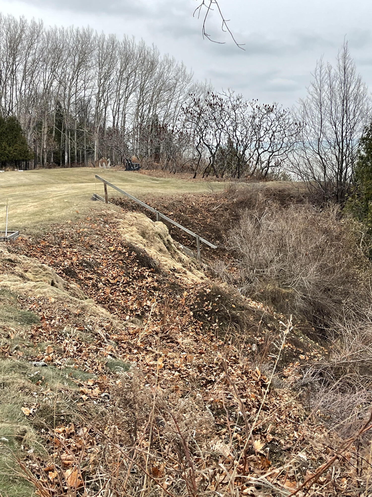 1104 Noridge Trail Port Washington, WI 53074 - Photo 24 of 61 Back Yard