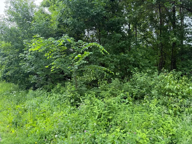 $199,000 | 17001 Elmore Avenue, Faribault, MN 55021