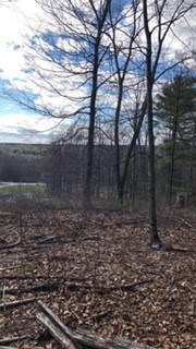 268 Greenville Road North Smithfield, RI 02896 - Photo 5 of 5 Gallery Image 5