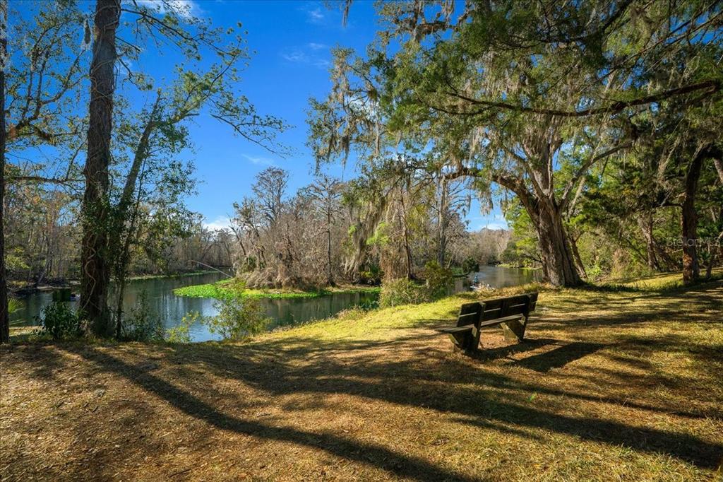 3259 Northeast 102nd Ave Road Silver Springs, FL 34488 - Photo 74 of 99 a view of a lake with a bench and trees