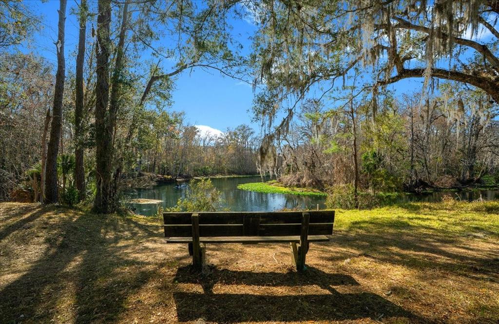 3259 Northeast 102nd Ave Road Silver Springs, FL 34488 - Photo 75 of 99 a backyard of a house with table and chairs under an umbrella
