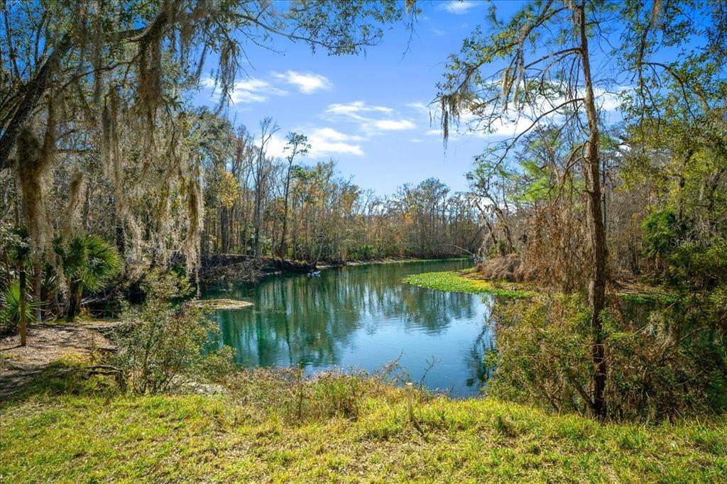 3259 Northeast 102nd Ave Road Silver Springs, FL 34488 - Photo 77 of 99