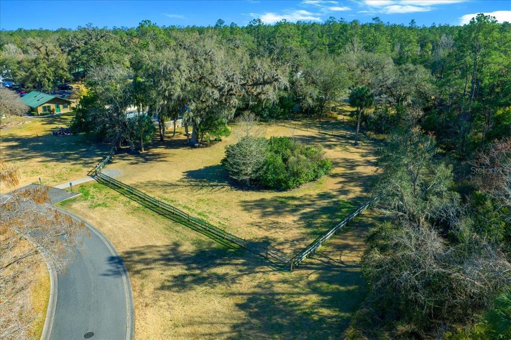 3259 Northeast 102nd Ave Road Silver Springs, FL 34488 - Photo 86 of 99