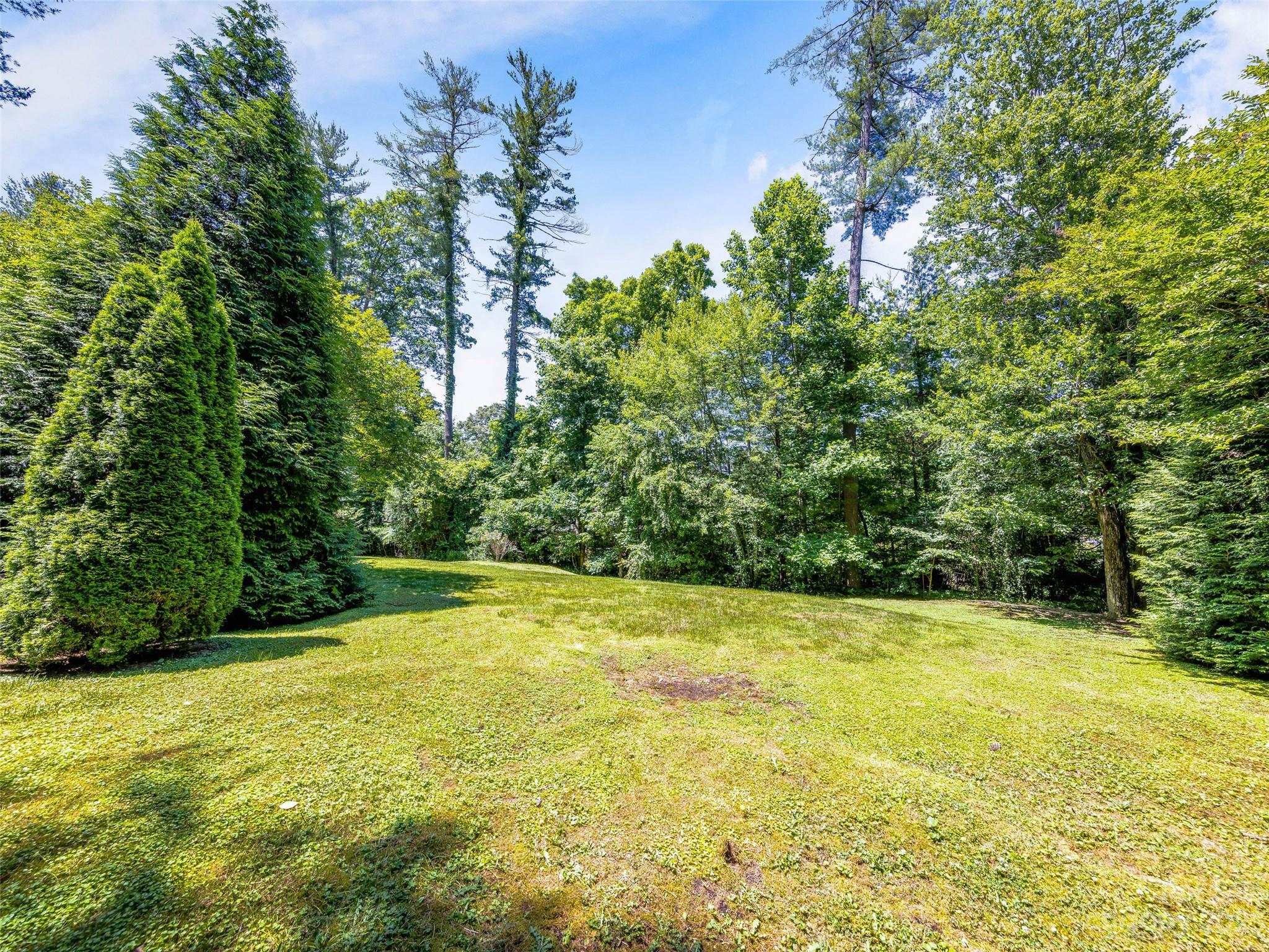 2417 Kanuga Road Hendersonville, NC 28739 - Photo 39 of 39 Gallery Image 39