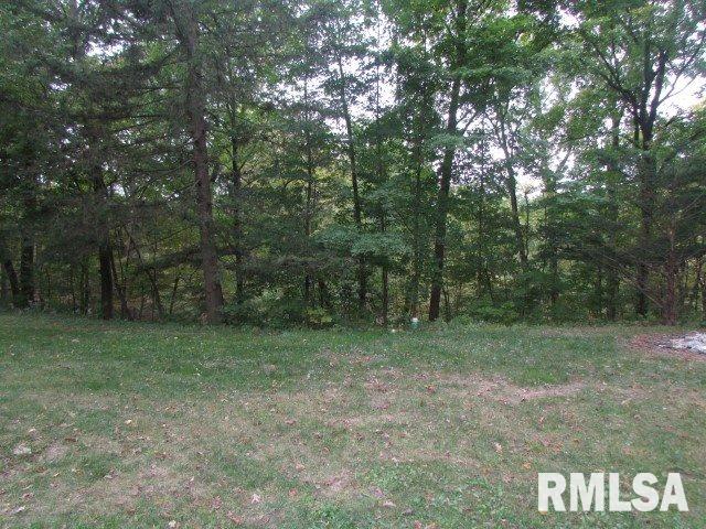 2355 Hollands Grove Road Washington, IL 61571 - Photo 30 of 36 Gallery Image 30