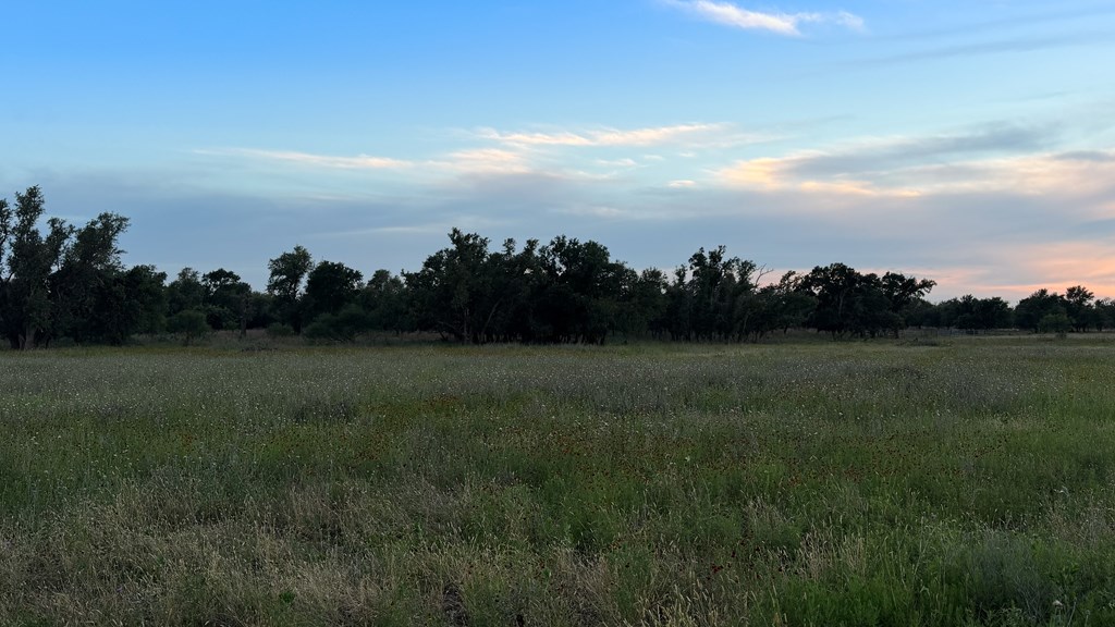 Lot #9 Slate Rock Road, Unit 9 Fredericksburg, TX 78624 - Photo 8 of 16