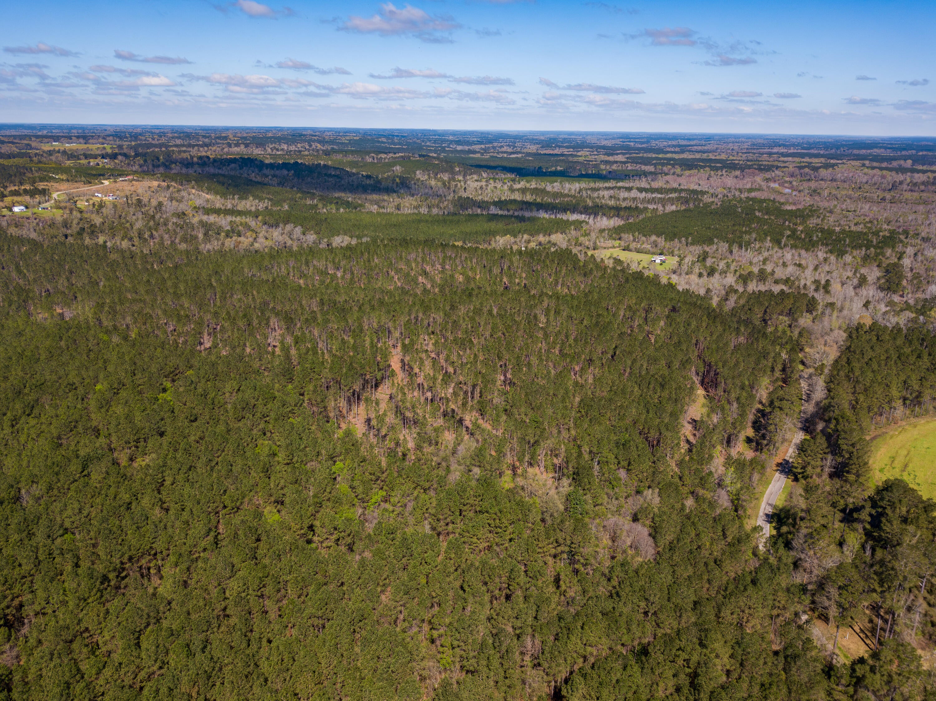 Lot 6 Timothy Road Ellisville, MS 39437 - Photo 14 of 26 Gallery Image 14
