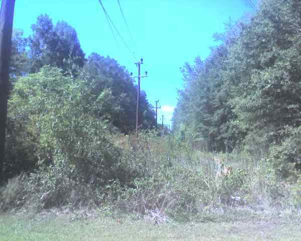 910 Syphrit Road Wellford, SC 29385 - Photo 3 of 3 Gallery Image 3