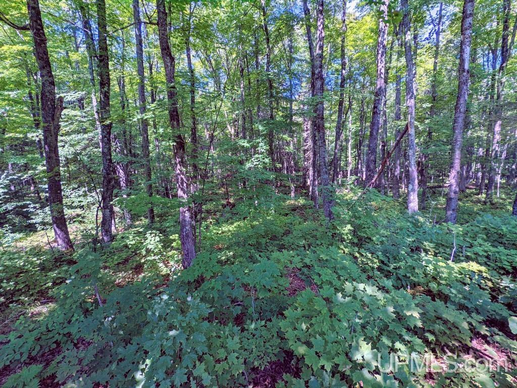413 University Road Iron River, MI 49935 - Photo 21 of 24 Gallery Image 21