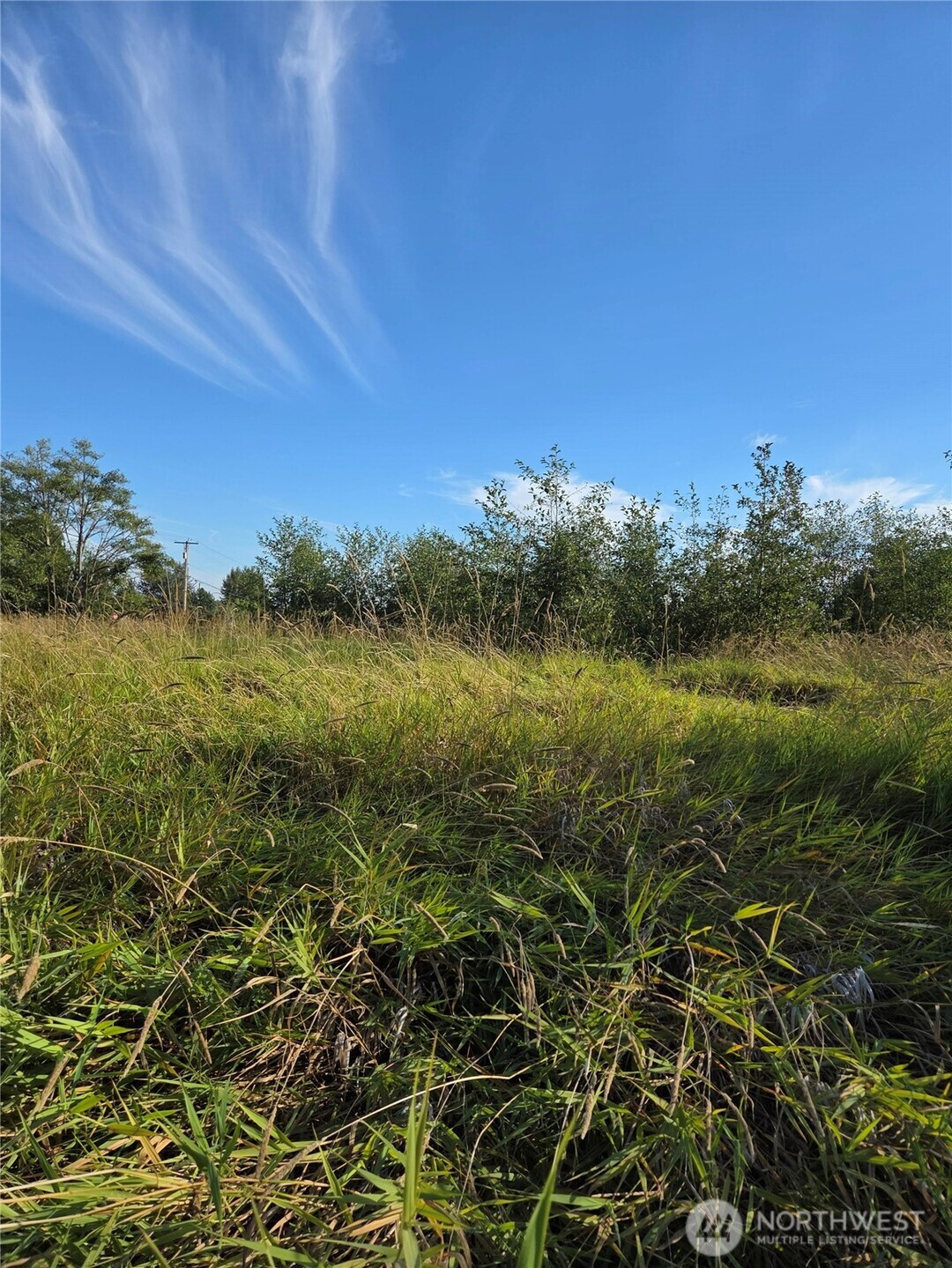 8055 Blaine Road Blaine, WA 98230 - Photo 11 of 14 a view of a field with an ocean