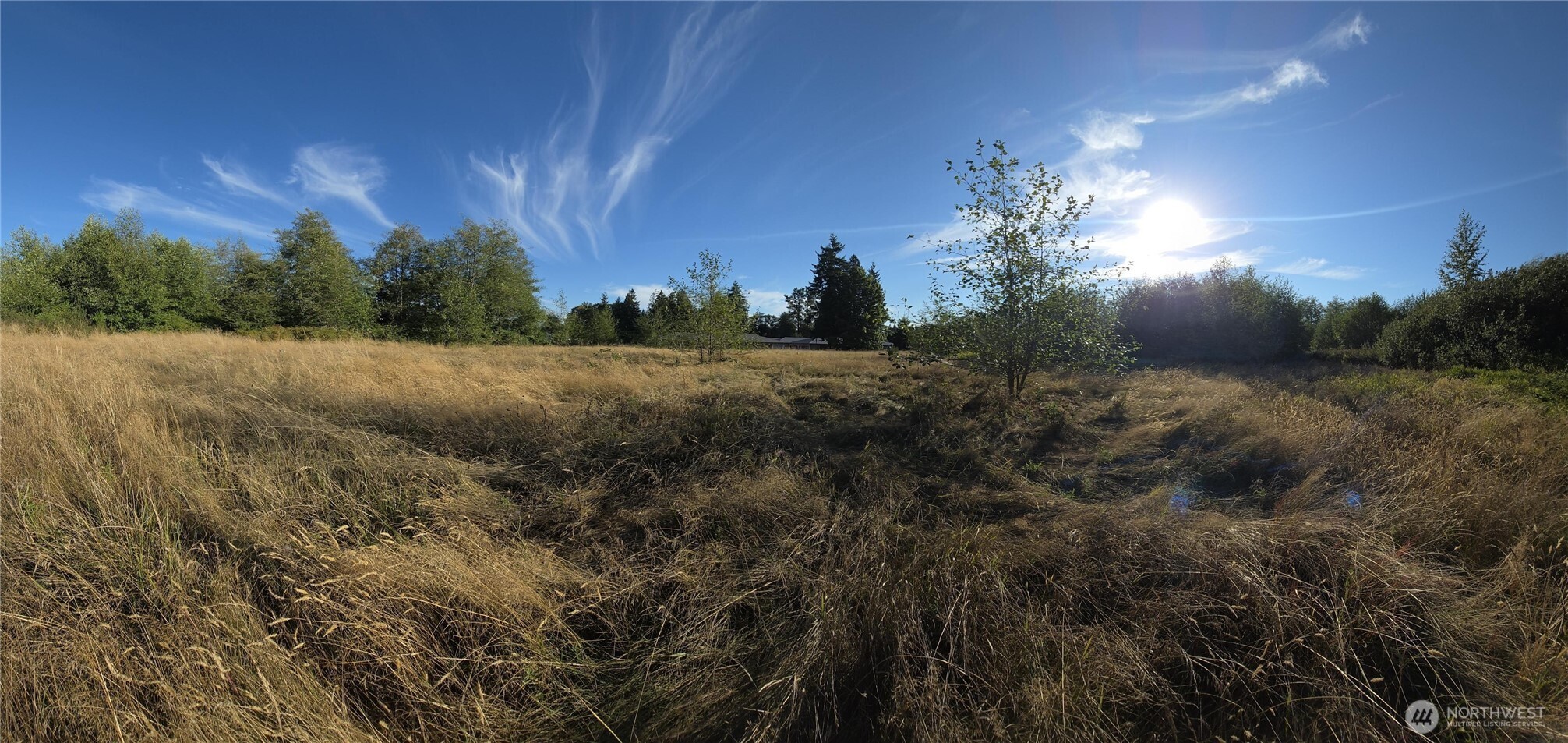 8055 Blaine Road Blaine, WA 98230 - Photo 12 of 14 a view of an outdoor space and a yard