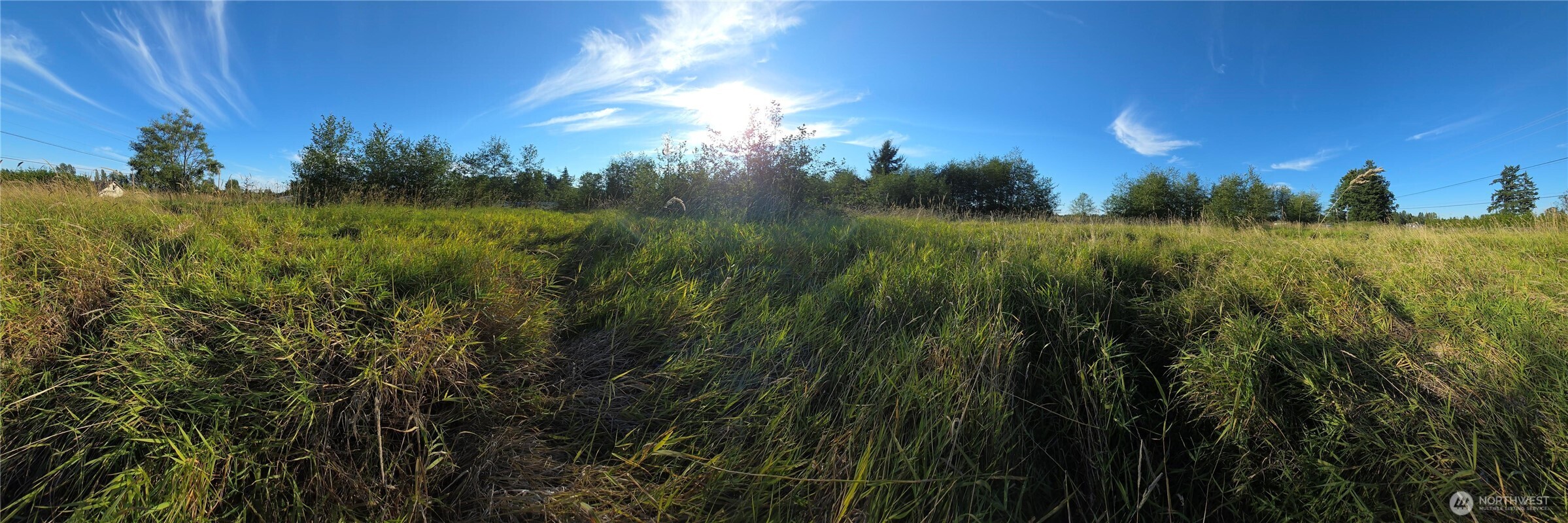 8055 Blaine Road Blaine, WA 98230 - Photo 8 of 14 a view of a yard and a street view