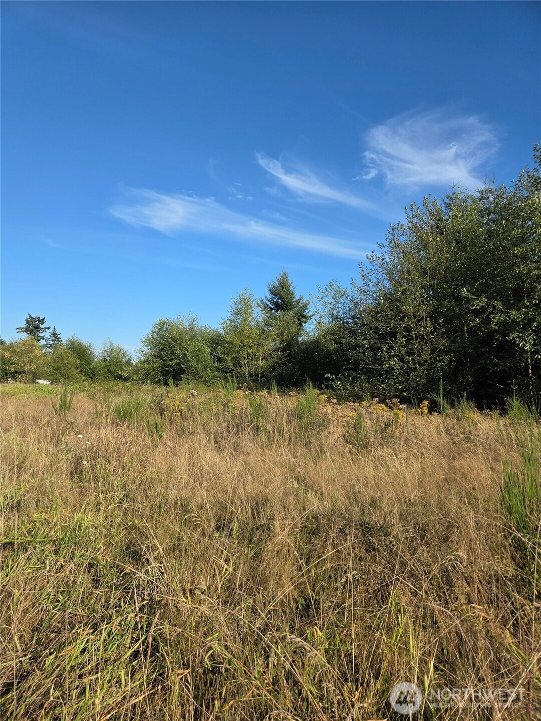 8055 Blaine Road Blaine, WA 98230 - Photo 10 of 14 a view of a lake with a city