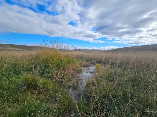 $239,000 | 0 Brown Road, Lenore, ID 83541