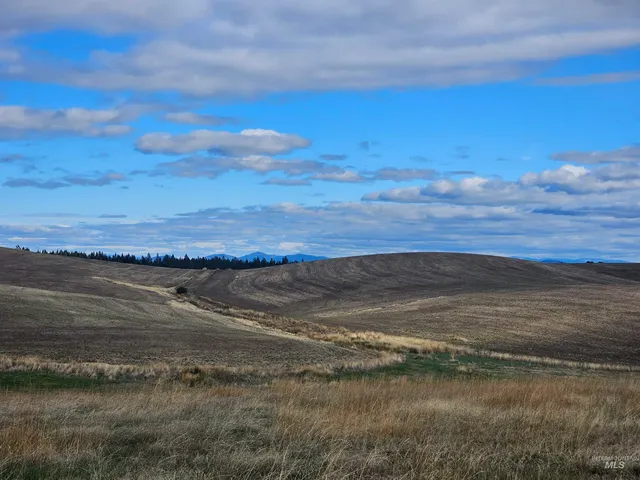 $239,000 | 0 Brown Road, Lenore, ID 83541