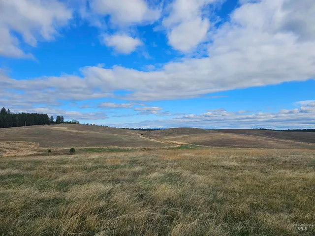 $214,000 | 0 Brown Road, Lenore, ID 83541