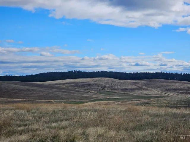 $214,000 | 0 Brown Road, Lenore, ID 83541
