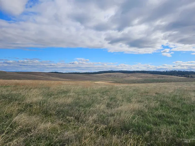 $239,000 | 0 Brown Road, Lenore, ID 83541