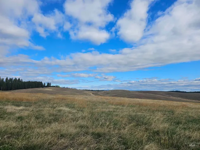 $239,000 | 0 Brown Road, Lenore, ID 83541